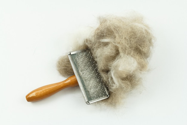 Brosse à chat avec touffe de poils de chat isolée sur blanc, entretien des chats à poils longs