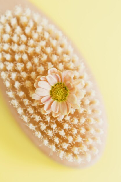 Brosse à cheveux brosse anticellulite avec fleur