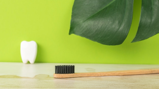 Une brosse à dents en bois et une figurine de dent sur le fond d'une grande feuille verte.