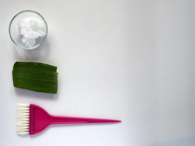 Brosse de masque de feuille d'Aloe Vera d'huile de noix de coco sur le fond blanc