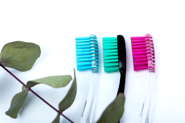 Les brosses à dents sur une table blanche sont disposées en ligne et en eucalyptus.