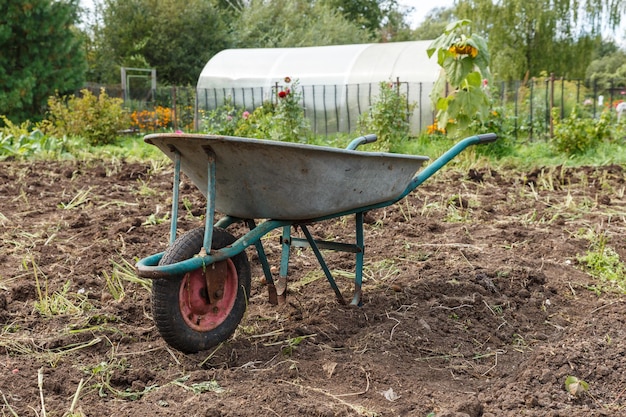 Brouette dans le jardin.