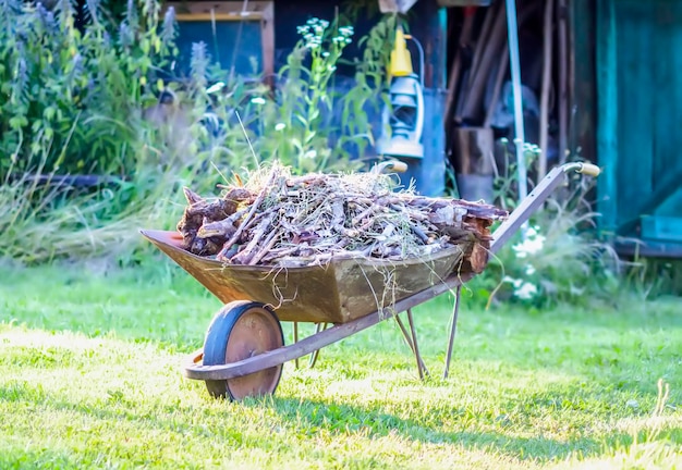 Brouette en métal dans le jardin plein de feuilles sèches et de branches