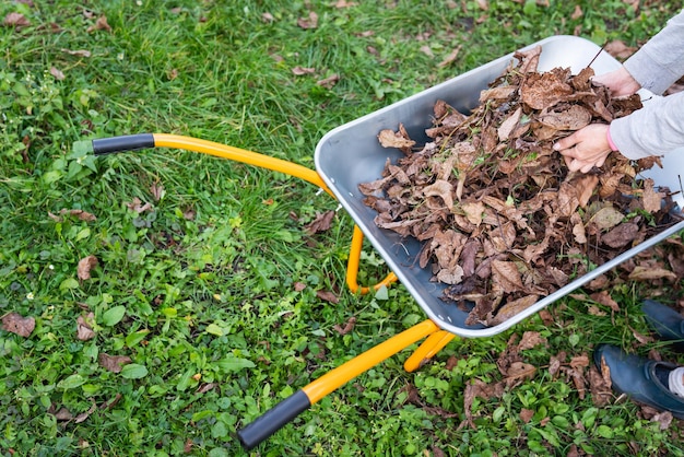 Une brouette en métal pour les ordures une fille enlève les feuilles sèches dans une brouette Enlèvement ou récolte des ordures dans le pays