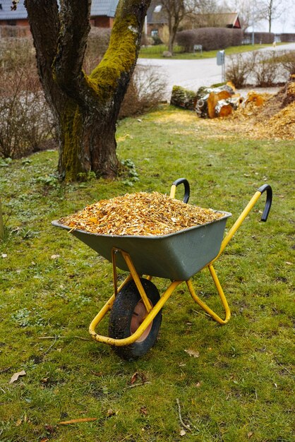 Une brouette remplie de copeaux de bois dans le fond du jardin Du lait ou de l'écorce utilisée comme compost sur de l'herbe verte luxuriante au printemps l'aménagement paysager se fait dans la cour avant avec des outils de jardinage par une journée ensoleillée