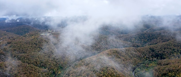 Brouillard après la pluie sur la forêt d'automne