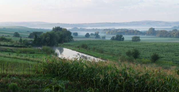 Brouillard au lever du soleil dans un village avec un champ de maïs et un lac