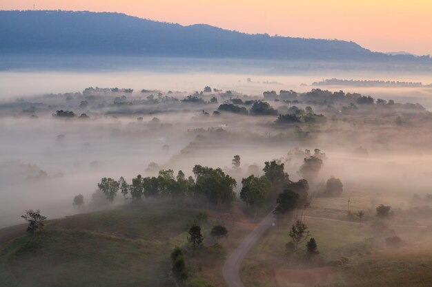 Brouillard au lever du soleil du matin et route à Khao Takhian Ngo View Point à Khaokho PhetchabunThailand