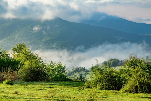 Brouillard blanc sur les montagnes depuis la campagne, lumière du coucher du soleil. Paysage de montagnes dans le brouillard.