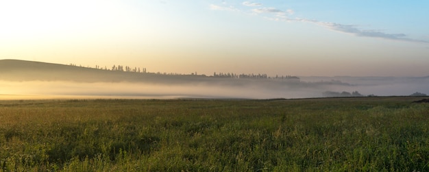 Brouillard sur un champ au lever du soleil en été