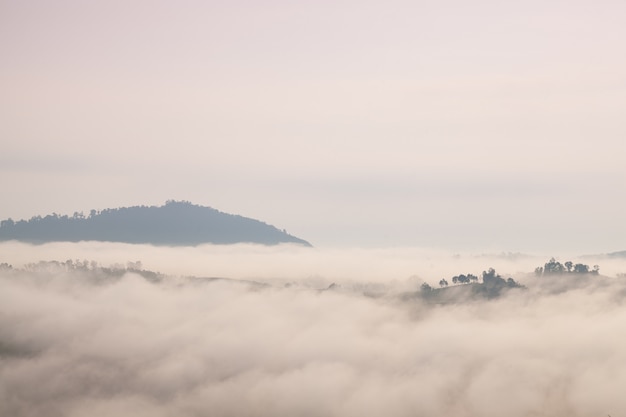 Brouillard couvert de montagnes et de la forêt le matin.