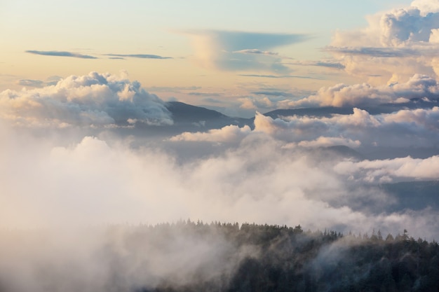 Brouillard dans les hautes montagnes. Beaux paysages naturels.