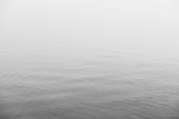 Brouillard dans le lac. Eau naturelle du matin et brouillard blanc.