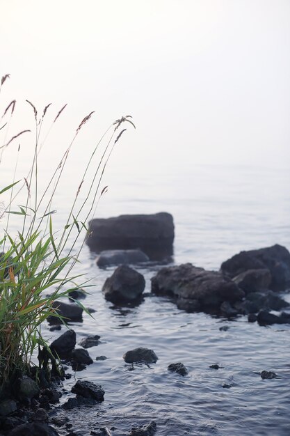 Brouillard dans le lac. Eau naturelle du matin et brouillard blanc.