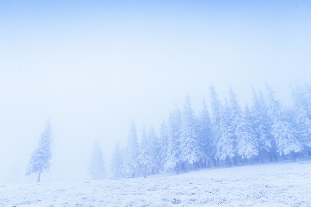 Brouillard dans les montagnes