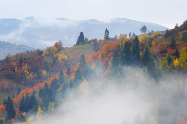 Brouillard dans le village de montagne. Paysage d'automne