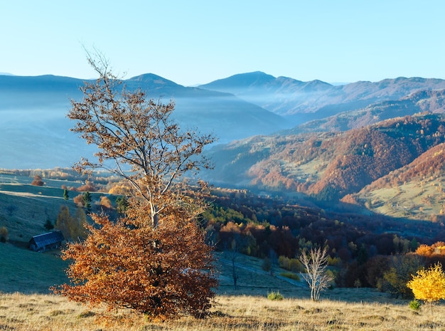 Brouillard du matin à l'automne des Carpates. Paysage de montagne avec forêt colorée sur pente.