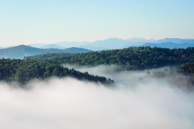 Brouillard du matin dans les montagnes