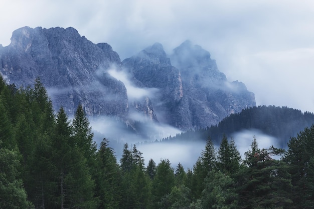 Brouillard du soir enveloppant les Dolomites italiennes et la forêt de conifères