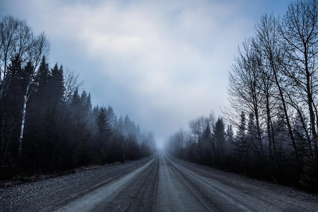 Brouillard effrayant et mauvaise visibilité sur une route rurale en forêt