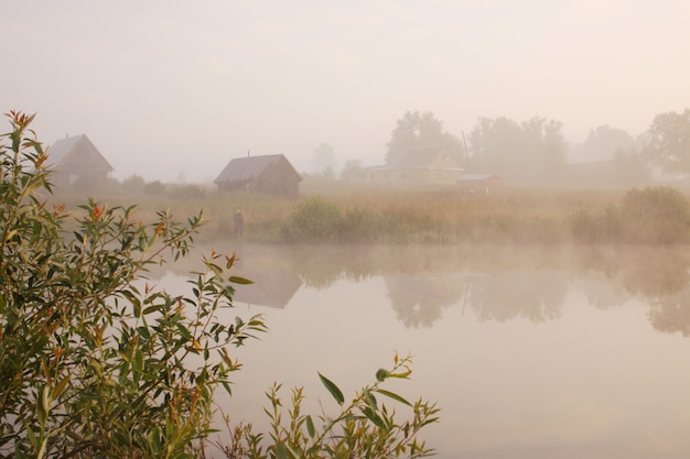 Brouillard léger sur l'étang. Plantes près de l'eau