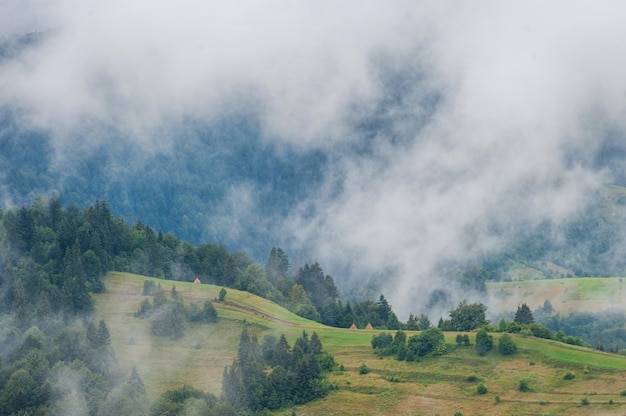 Brouillard le matin sur les montagnes. Forêt, nature.