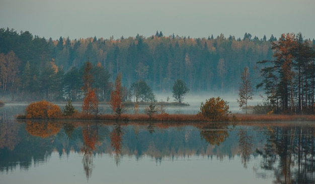 Brouillard matinal sur un lac de cuivre dans la région de Leningrad en automne