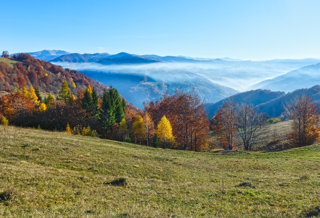 Brouillard matinal et nuages en automne Carpates et arbres colorés sur la pente.