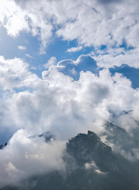 Brouillard sur la montagne