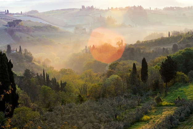 Brouillard et paysage toscan typique