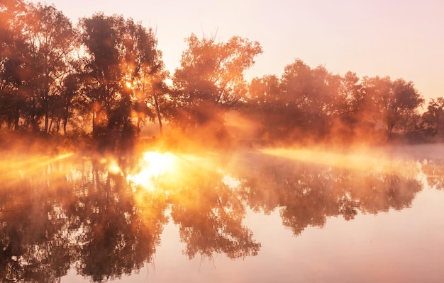 Brouillard sur la rivière