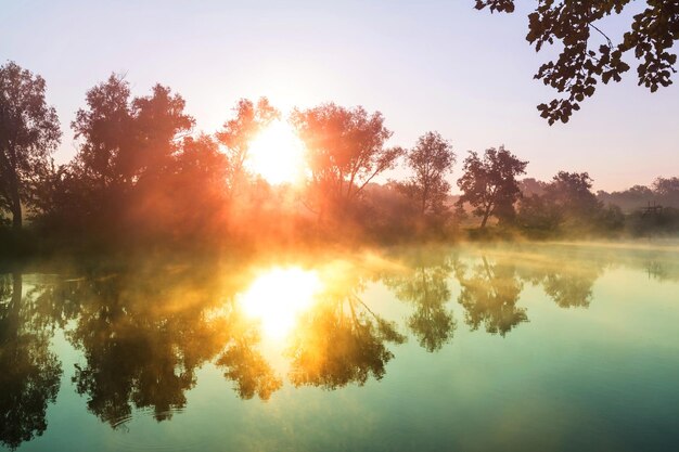 Brouillard sur la rivière