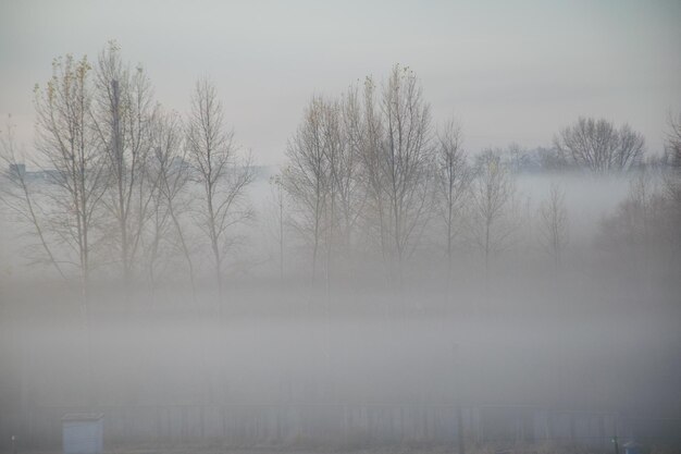 Brouillard sur la route le long du champ à l'aube brouillard dans le champ d'automne le long de l'autoroute Oulianovsk