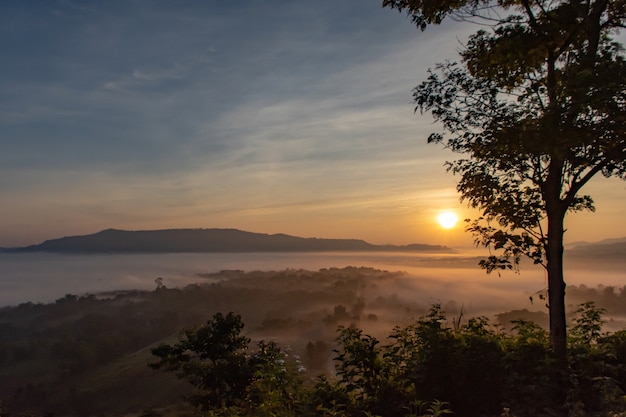 Brouillard et soleil Matin après la montagne.