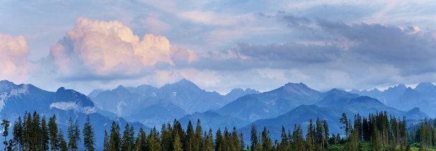 Brouillard sur les sommets des montagnes. Carpates, Ukraine. L'Europe 