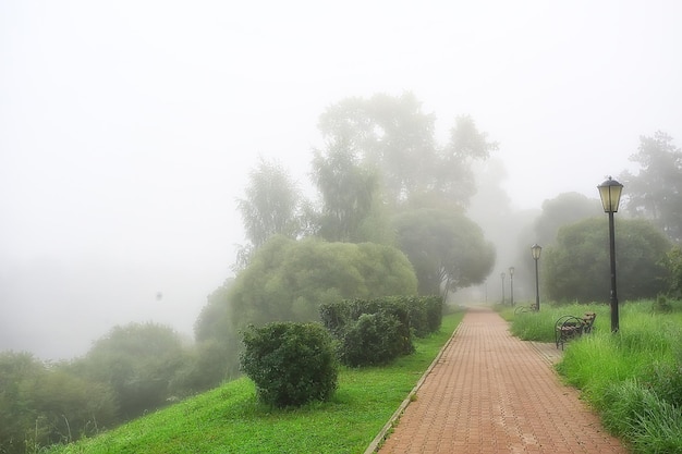 brouillard de la ville du parc d'été / beau paysage de la ville