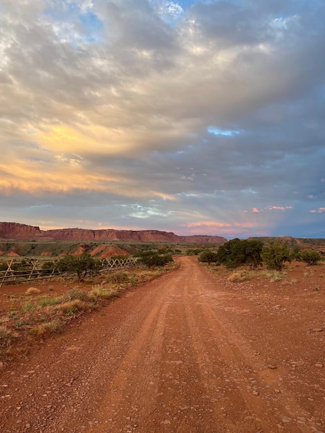 brown champ paysage saleté pays naturelles