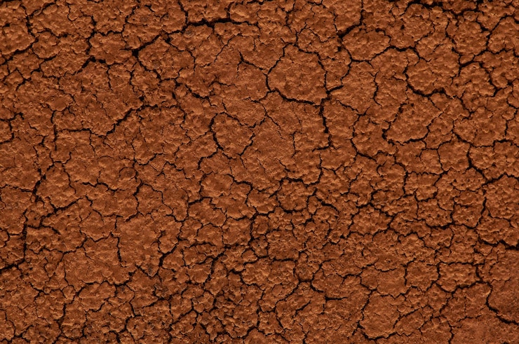 Photo brown séché craqué sol de près grunge arrière-plan sécheresse sur la terre