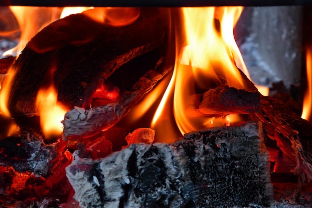 Brûler du bois de chauffage Un pique-nique dans la nature concept Macro photographie de flamme Fond extérieur