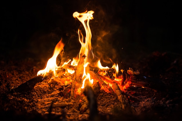 Brûler du bois la nuit. Feu de camp au camp touristique à la nature dans les montagnes.