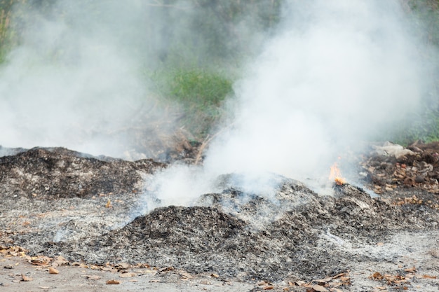 Brûler La Pollution Des Déchets