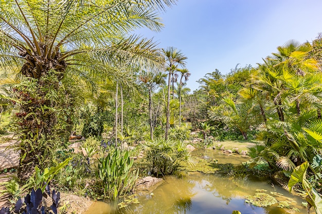 Brumadinho, Minas Gerais, Brésil. Vue sur les jardins d'Inhotim