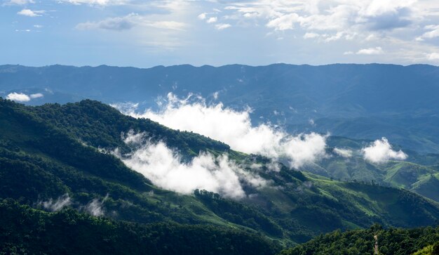 brume blanche flottant au-dessus des montagnes complexes qui est un phénomène naturel après la pluie