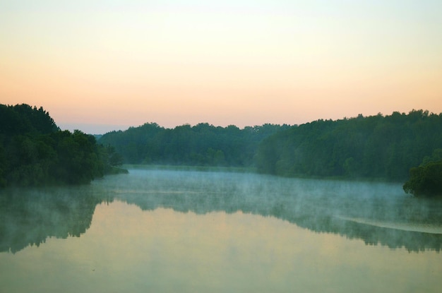 Brume brumeuse sur la rivière le matin