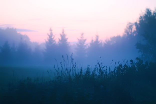 Brume du soir sur un champ de campagne en été.