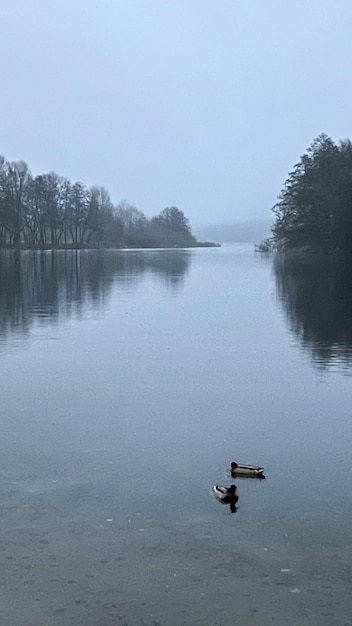 brume du soir sur le lac