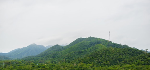 Brume matinale à la chaîne de montagnes tropicale, dans le parc national de Kaeng Krachan