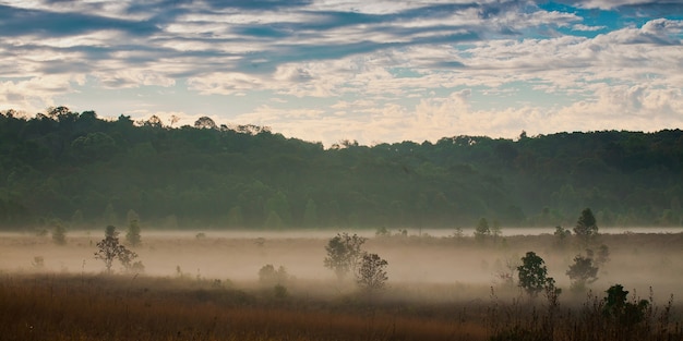 Brume matinale et ciel.