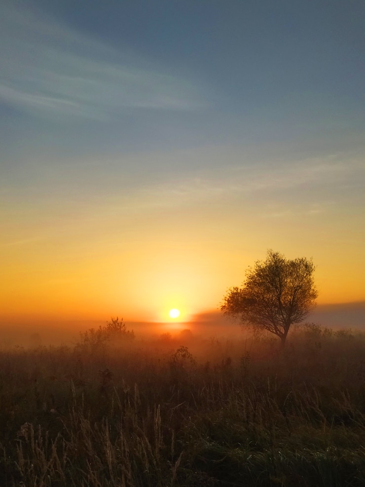 Photo la brume matinale se répand dans un pré avec de hautes herbes et le lever du soleil