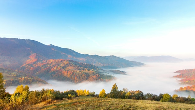 Brume matinale sur la vallée parmi les montagnes au soleil Brouillard et belle nature des images des montagnes des Carpates Ukraine